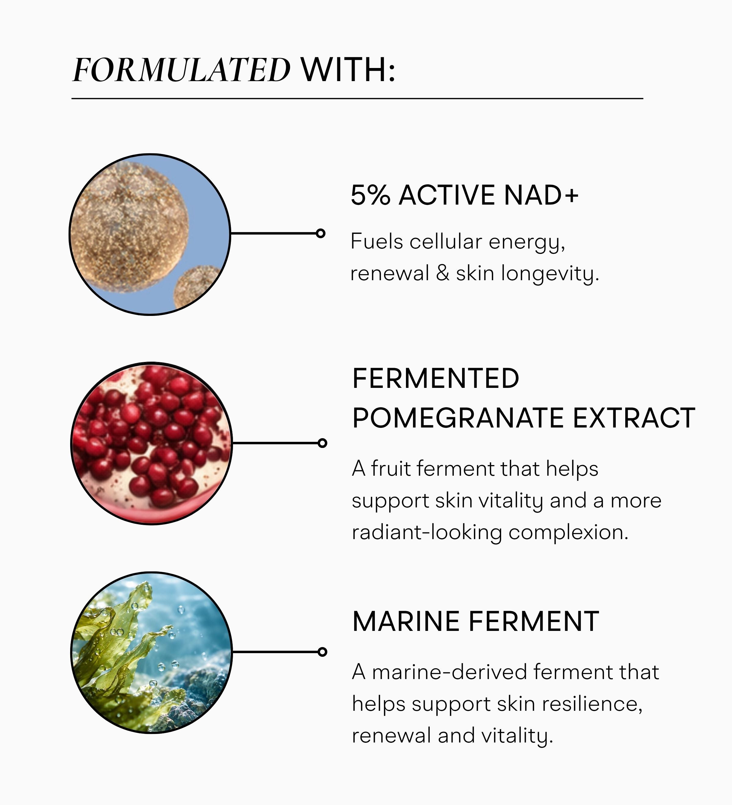 Best NAD Face Serum | Intuisse Active NAD+ Serum 20ml