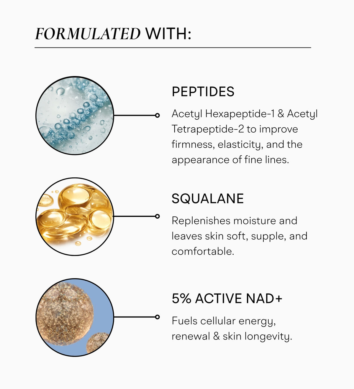 Intuisse Active NAD+ Peptide Essential Cream key ingredients: peptides, squalane and 5% Active NAD+.