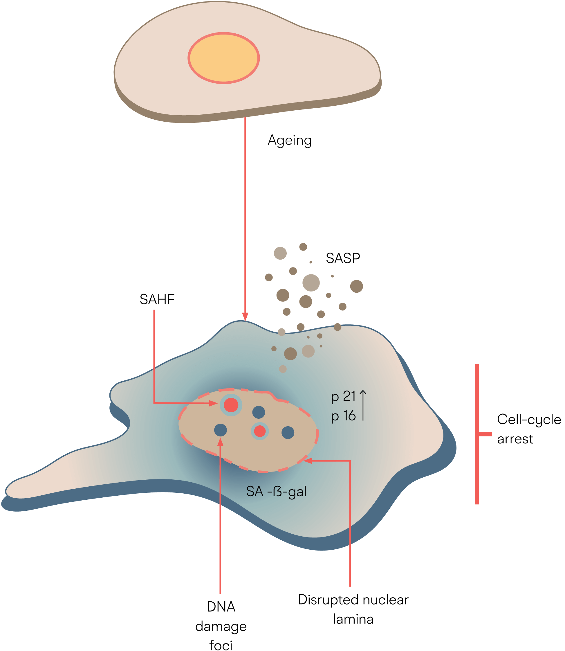 Research charts image